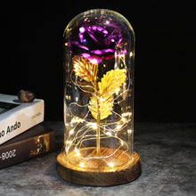 Lade das Bild in den Galerie-Viewer, Die ewige Rose - ein Geschenk, das immer leuchtet - Violette Rose