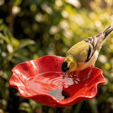 Lade das Bild in den Galerie-Viewer, Vogelblüten - Vogeltränke in Blütenform | 2er-Set
