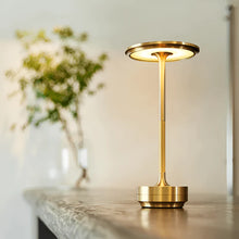 Lade das Bild in den Galerie-Viewer, EcoLume - Lampe
