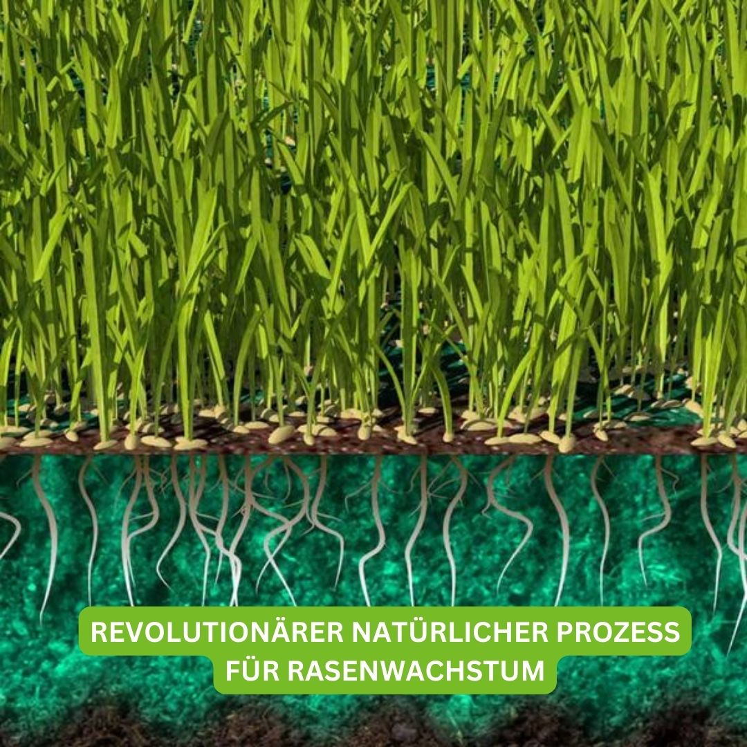 Turbogras - für gesunden und schnellwachsenden Rasen inkl. Gratis eBook für nachhaltige Gartenpflege