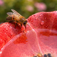 Lade das Bild in den Galerie-Viewer, Magische Bienenblüten – Wetterfeste Keramik-Tränken, 4er-Set
