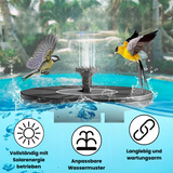 Hochwertige Handgemachte Fontäne für Vögel