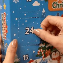 Lade das Bild in den Galerie-Viewer, 24-Tage Squishy-Überraschung Adventskalender 2026 - Nachhaltiger Spielspaß
